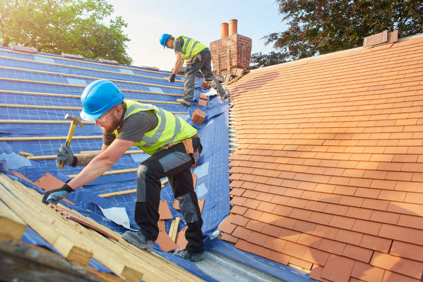 Best Solar Panel Roofing Installation  in Lathrup Village, MI